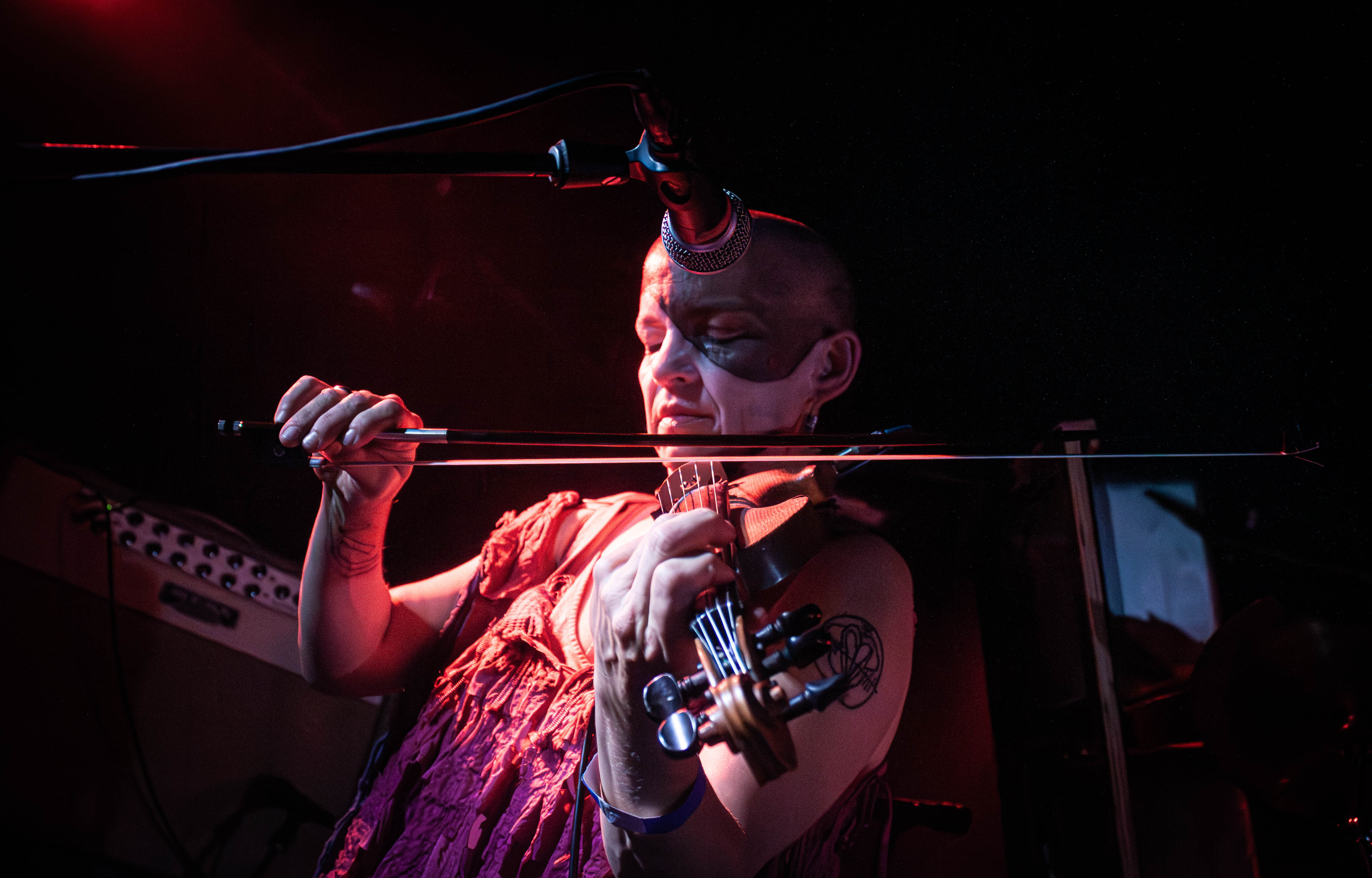 Sleepytime Gorilla Museum - Foto: Bastian Reinholdt Madsen
