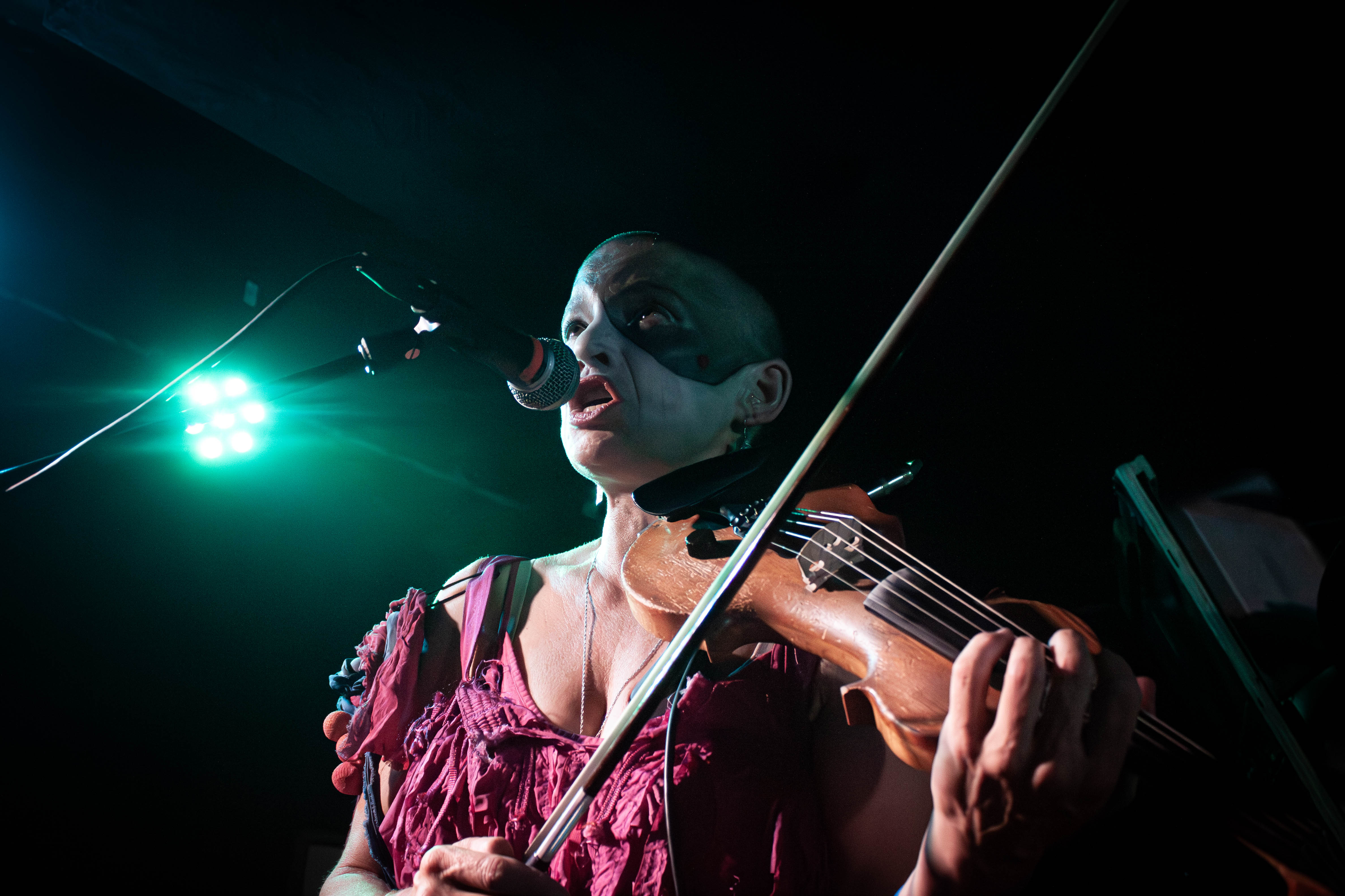 Sleepytime Gorilla Museum - Foto: Bastian Reinholdt Madsen