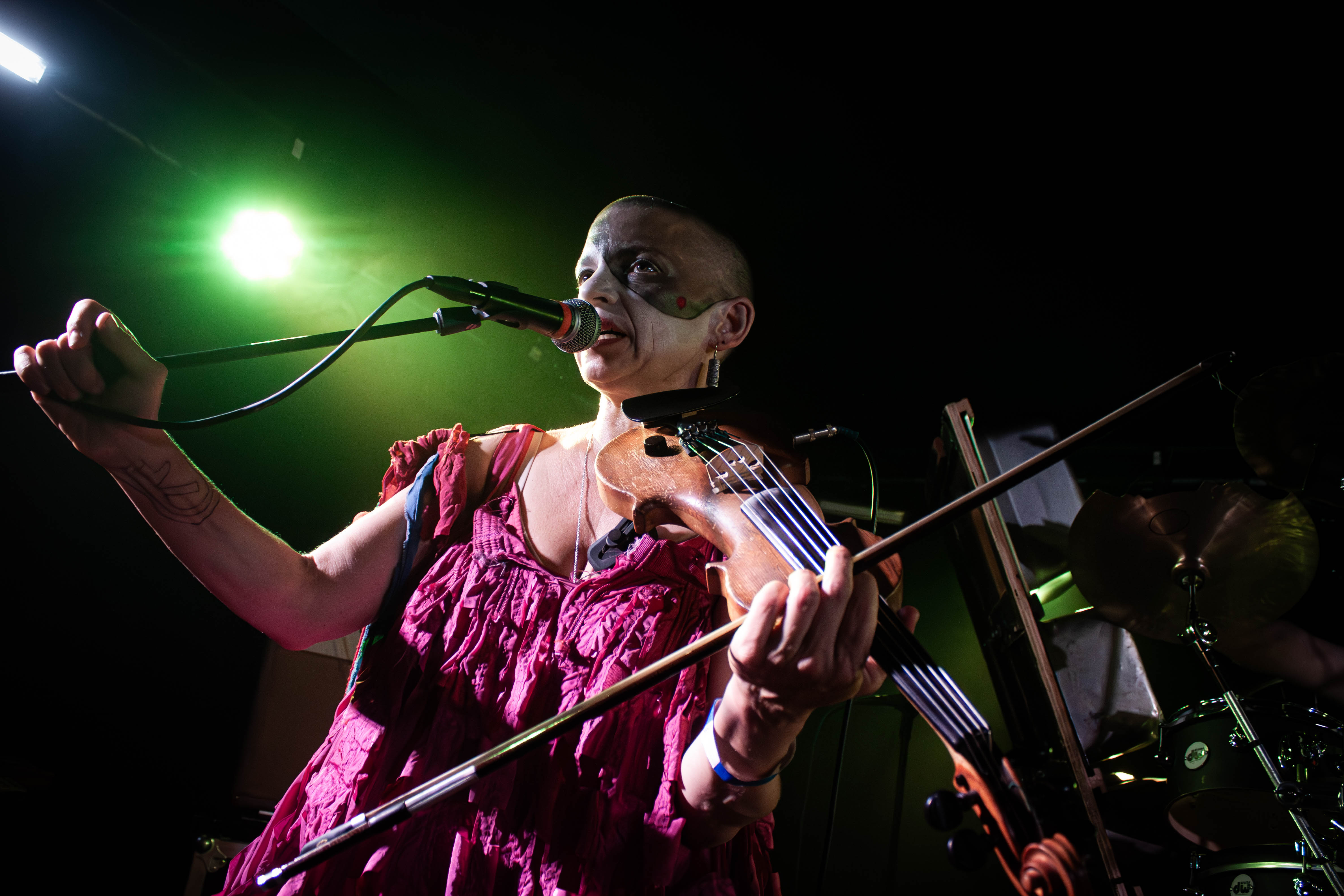 Sleepytime Gorilla Museum - Foto: Bastian Reinholdt Madsen