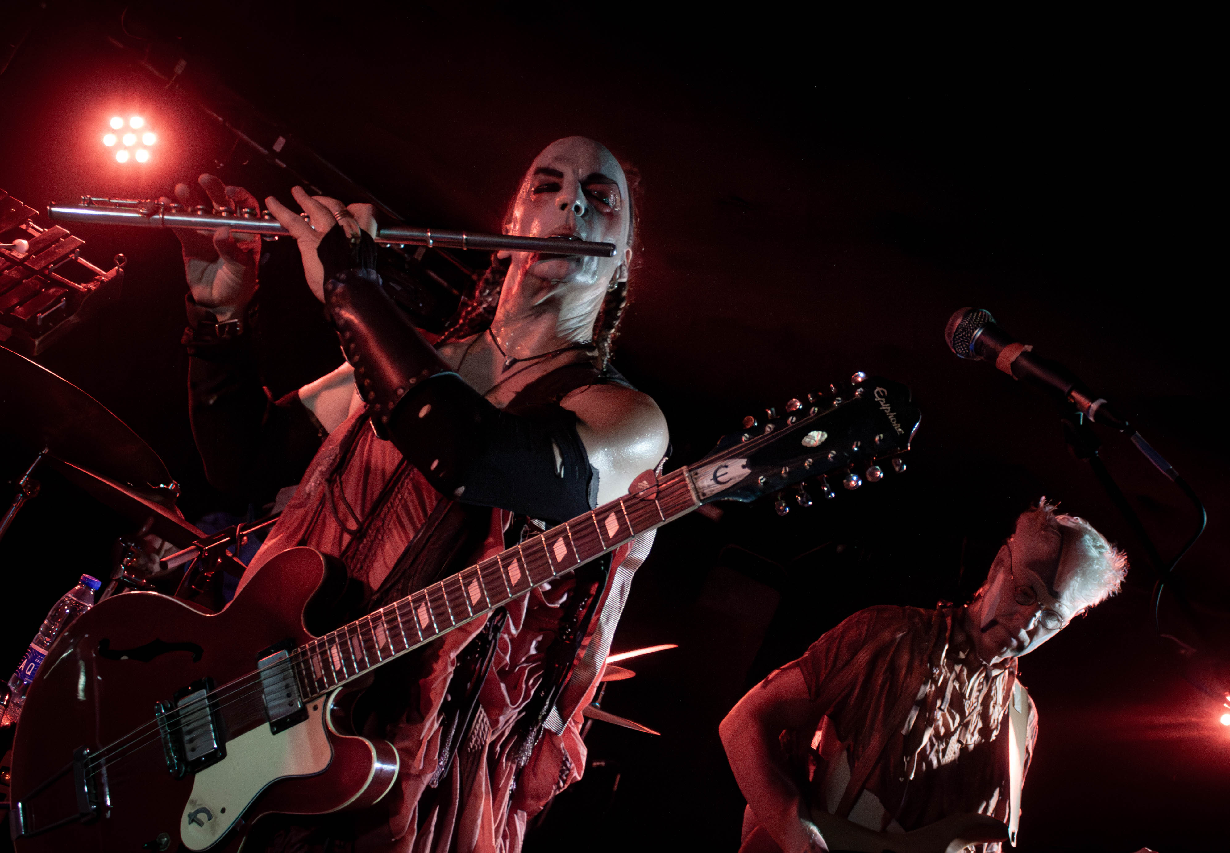Sleepytime Gorilla Museum - Foto: Bastian Reinholdt Madsen