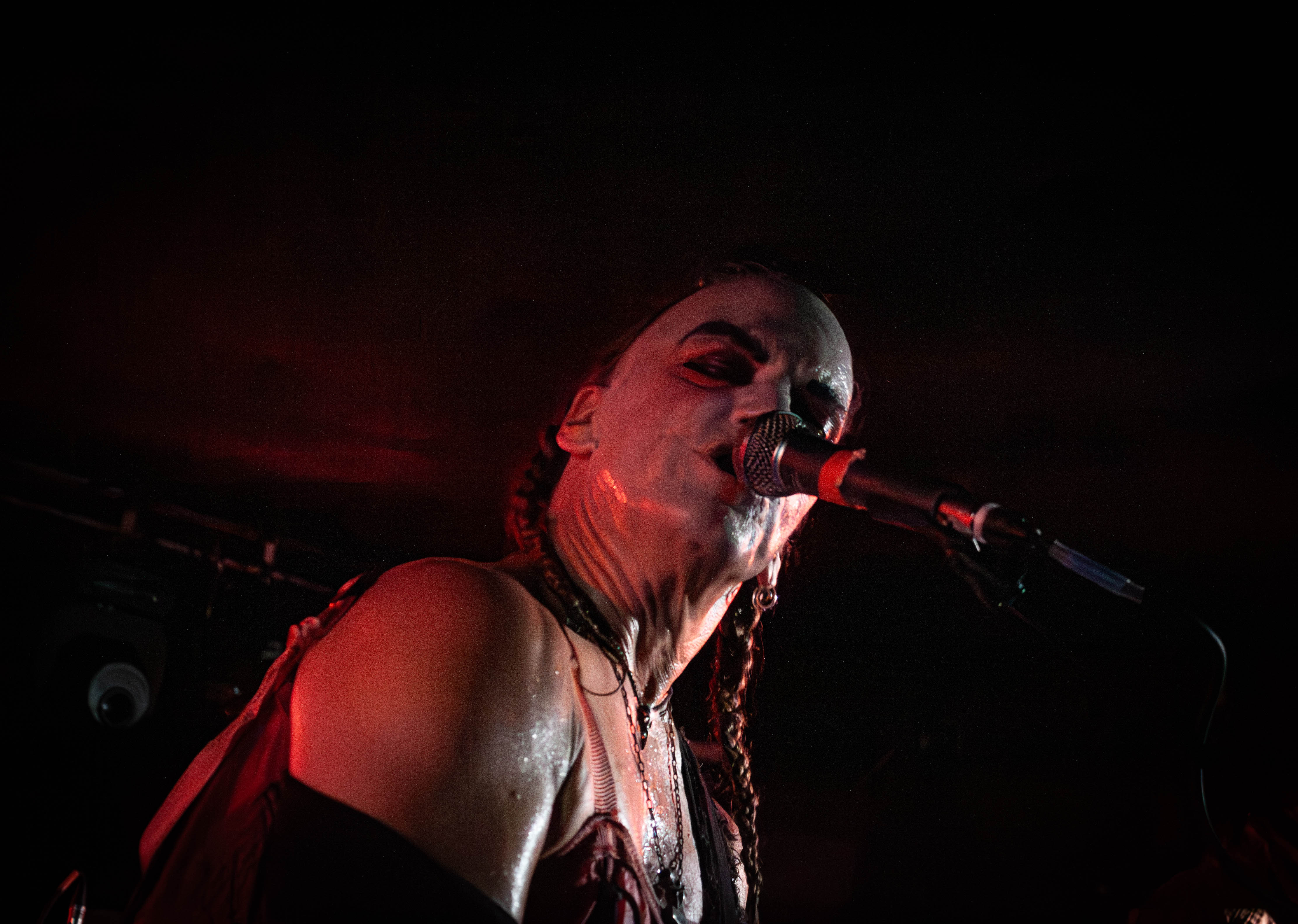 Sleepytime Gorilla Museum - Foto: Bastian Reinholdt Madsen