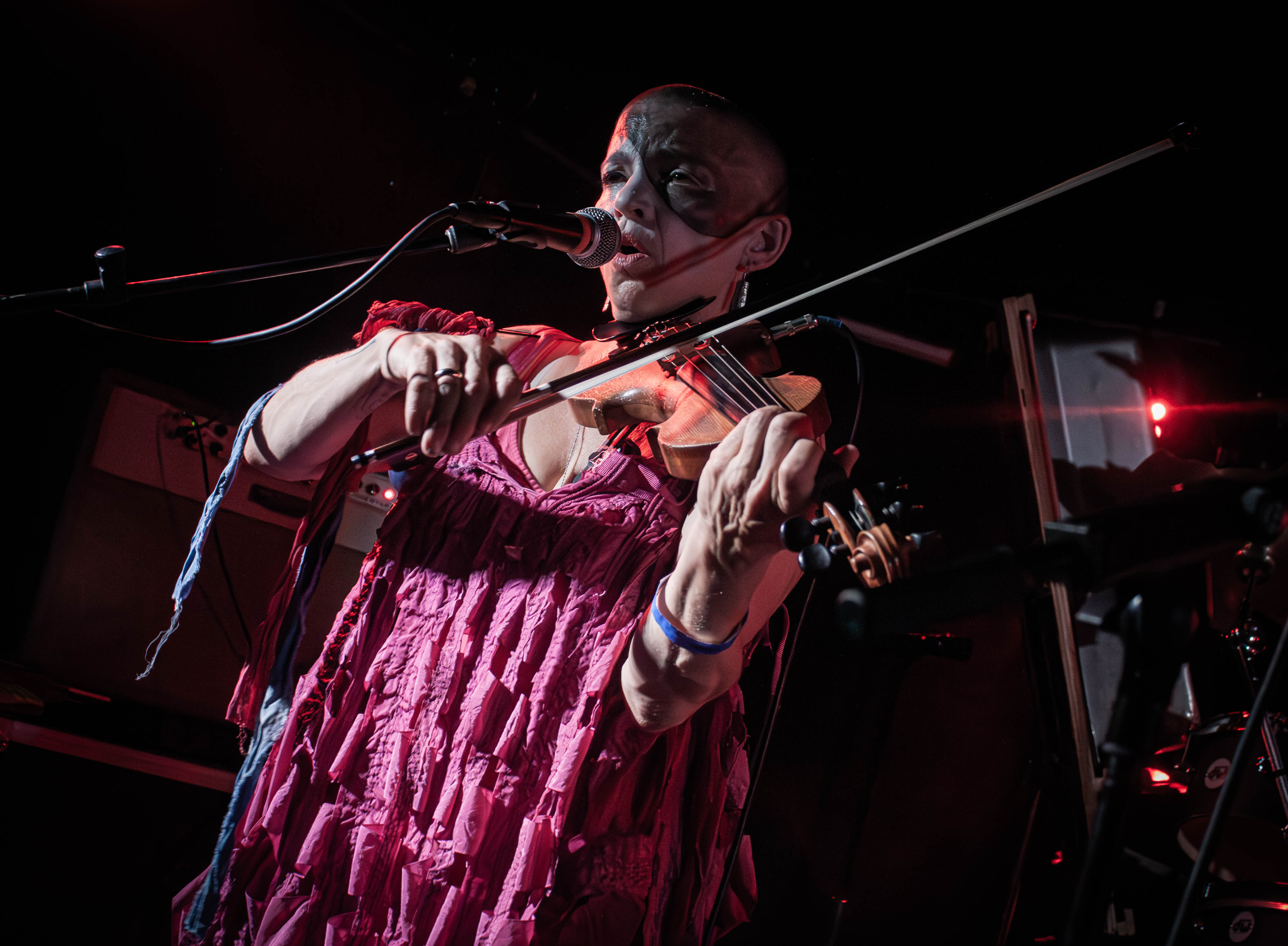 Sleepytime Gorilla Museum - Foto: Bastian Reinholdt Madsen