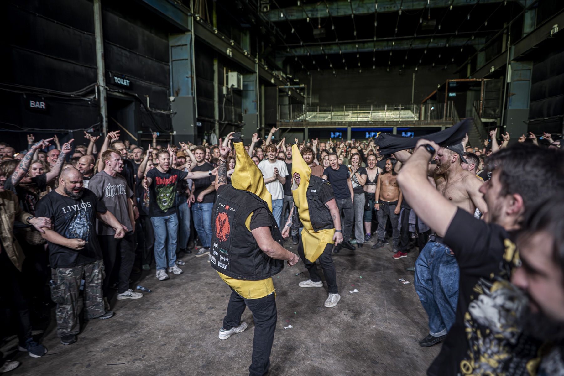 Siamese - Foto: Joachim Vilholm Vilstrup