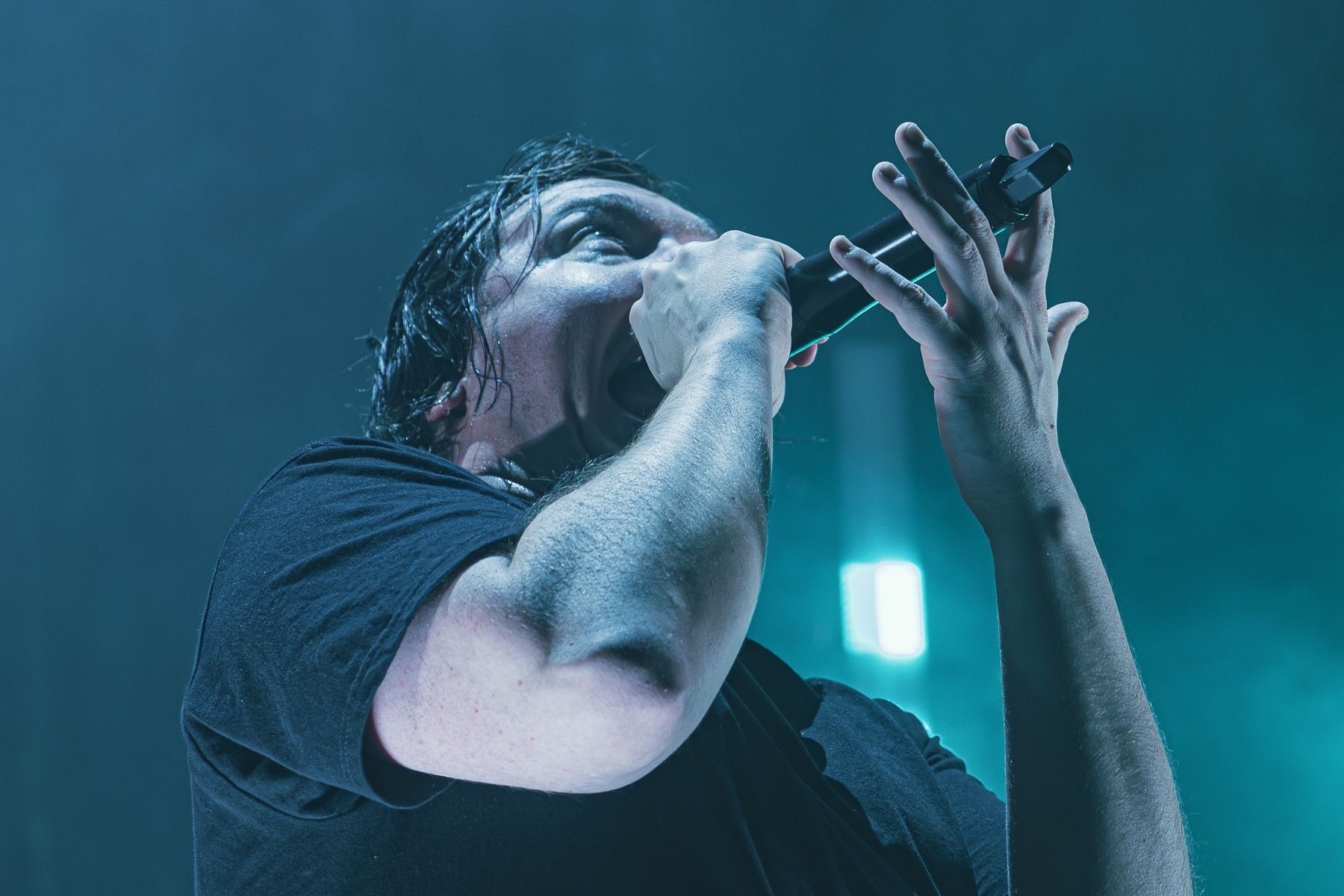 Shadow Of Intent
