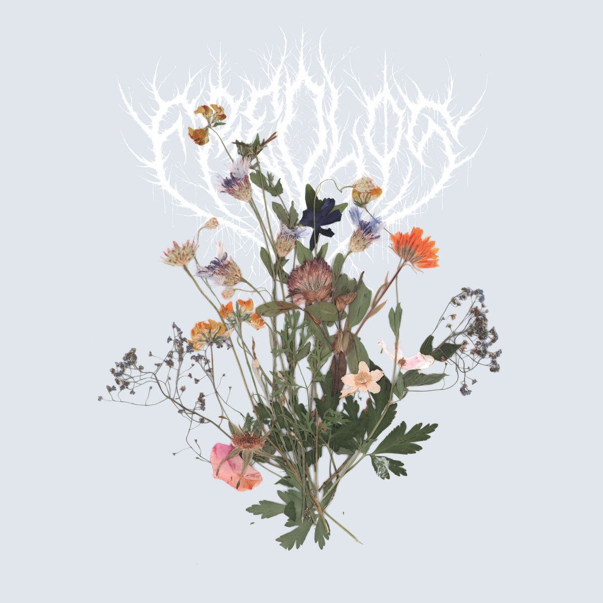 Kunstnerisk mavepuster: Når doom-bassist bryder rammerne